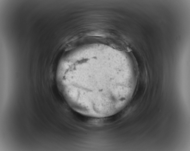 X0000086230084200704261905