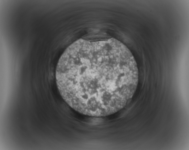 X0000086230085200704261905