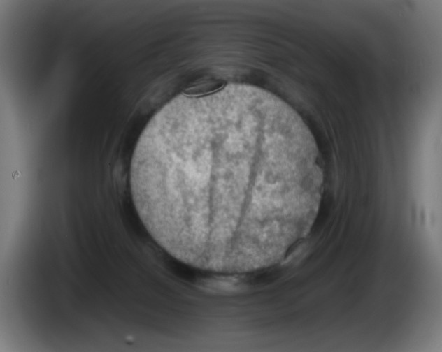 X0000086230086200704261905