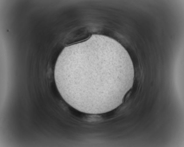 X0000086230087200704261905