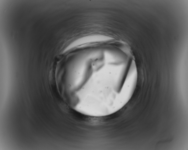 X0000086230088200704261905