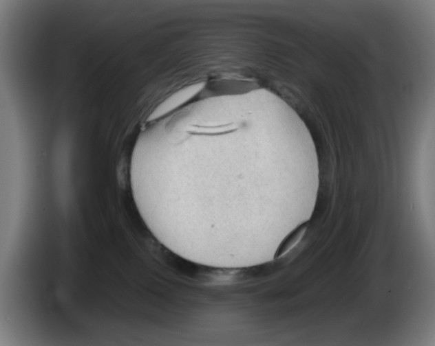 X0000086230090200704261905