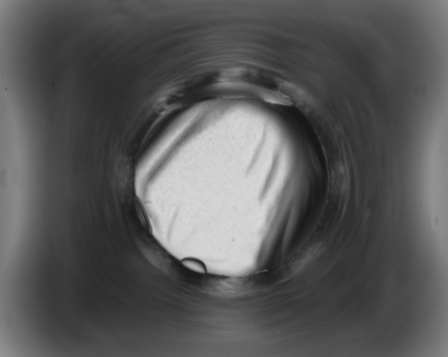 X0000086230092200704261905