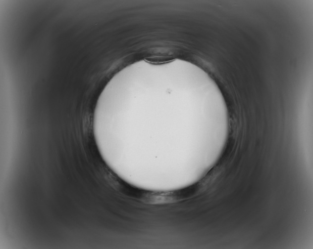 X0000086230093200704261905