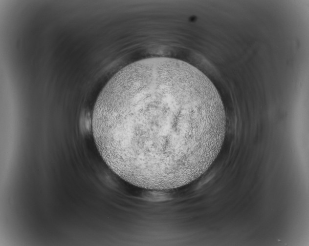 X0000086230095200704261905