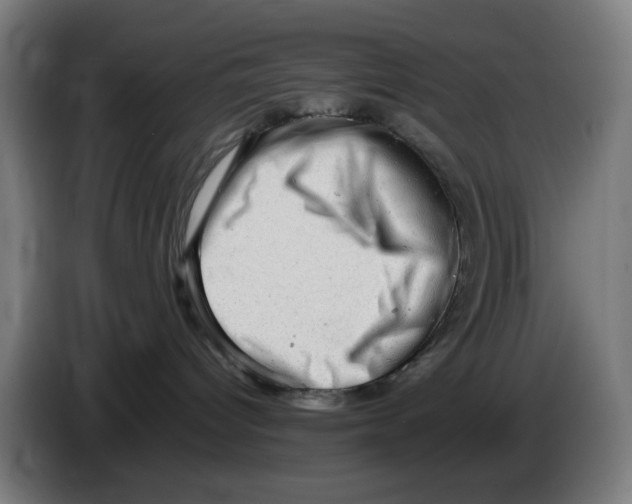 X0000086230096200704261905