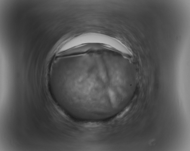 X0000086230101200704261904