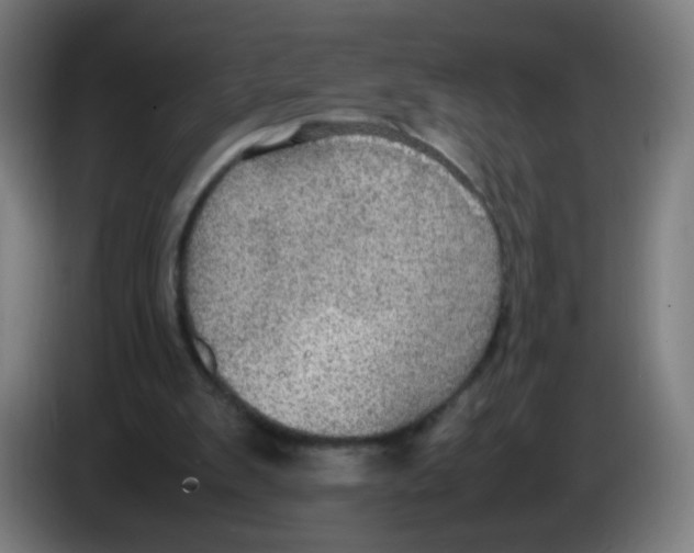 X0000086230103200704261904