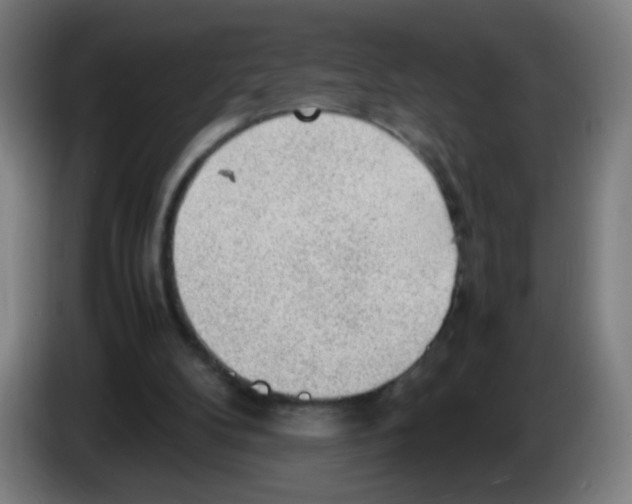 X0000086230104200704261904