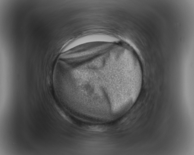 X0000086230105200704261904