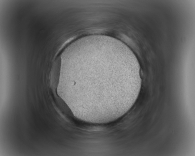 X0000086230107200704261904