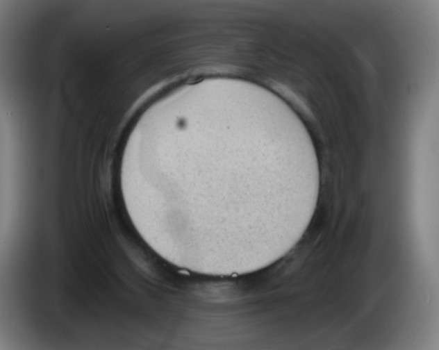 X0000086230108200704261904