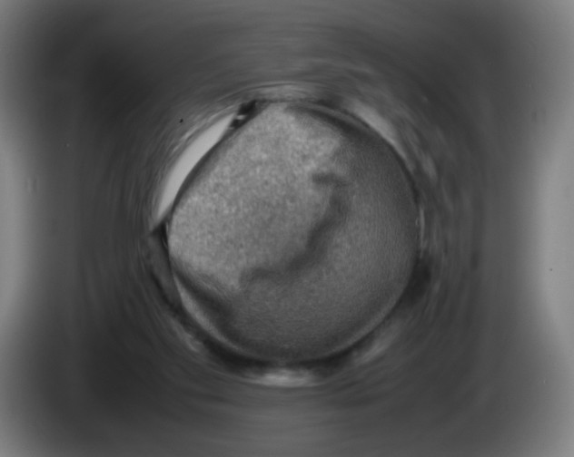 X0000086230109200704261904