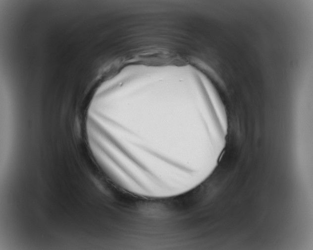 X0000086230110200704261904