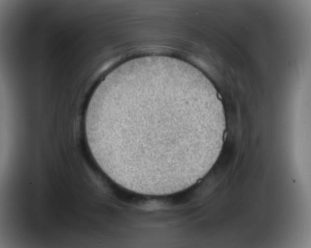 X0000086230111200704261904