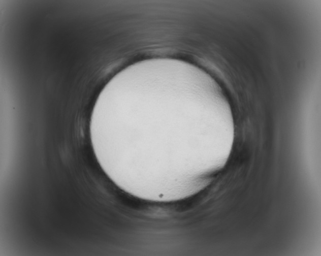 X0000086230115200704261904