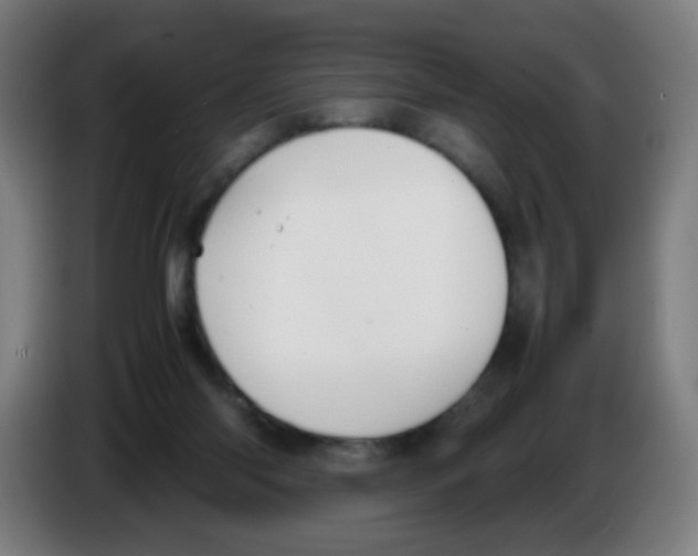 X0000086230118200704261904