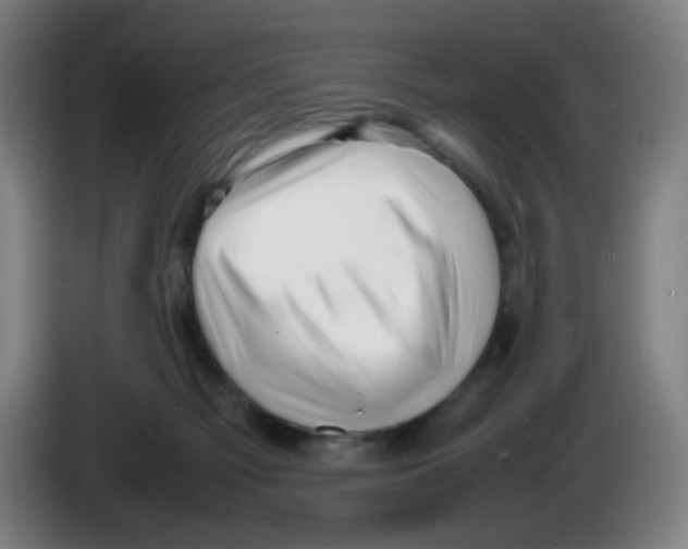 X0000086230121200704261904