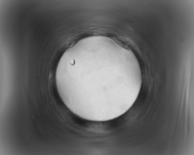 X0000086230123200704261904