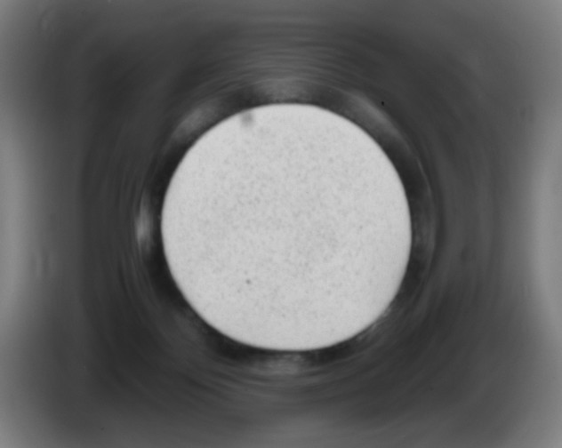 X0000086230124200704261904