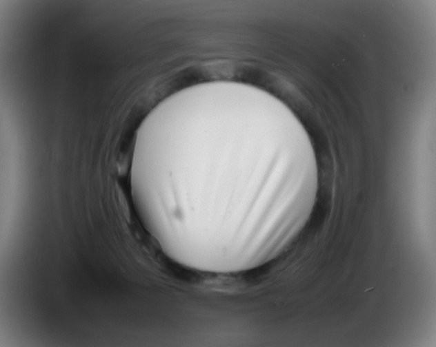 X0000086230125200704261904