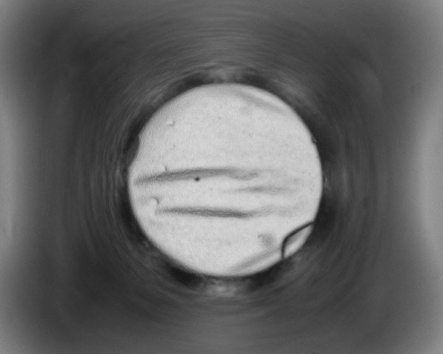 X0000086230127200704261904