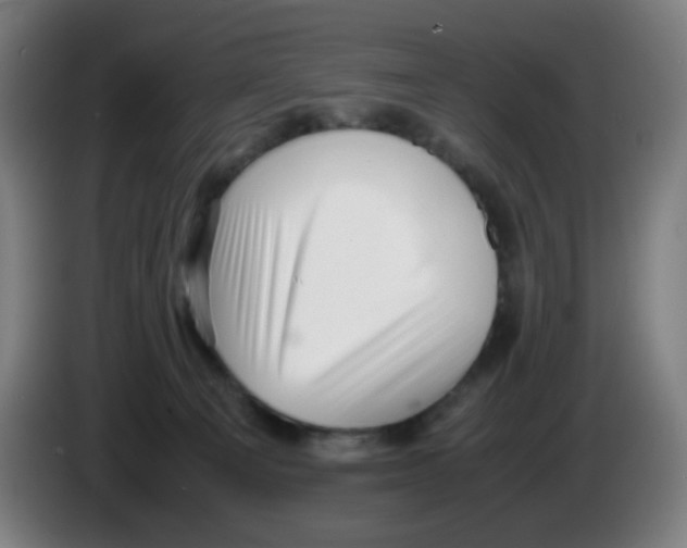 X0000086230129200704261904