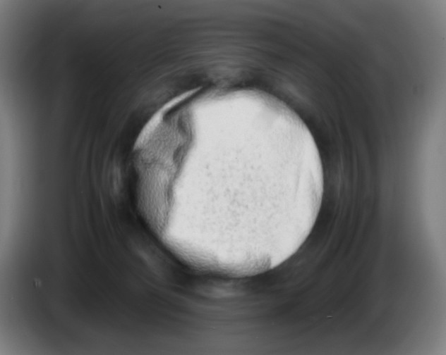 X0000086230130200704261904