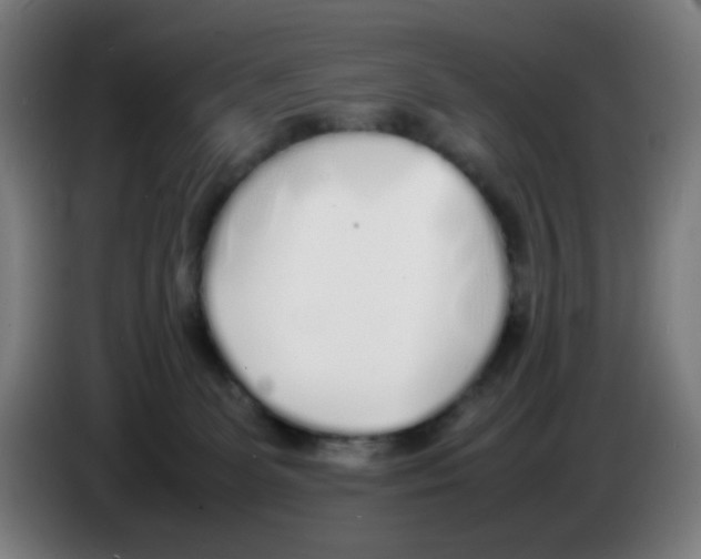 X0000086230131200704261904