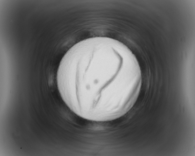 X0000086230134200704261904