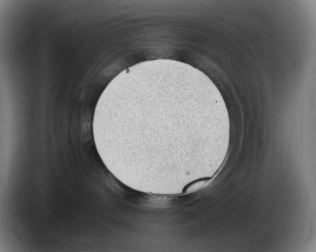 X0000086230144200704261903