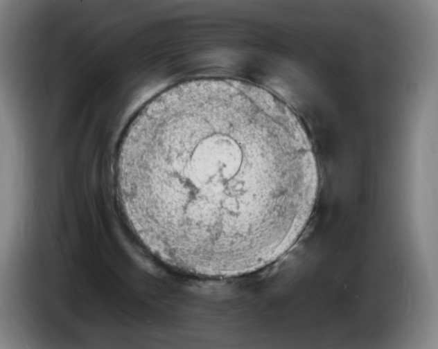 X0000086230146200704261903