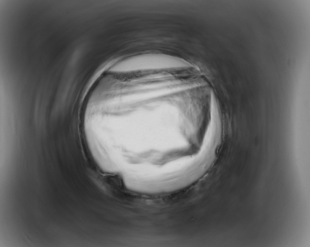 X0000086230147200704261903