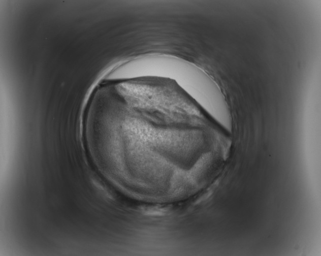 X0000086230148200704261903