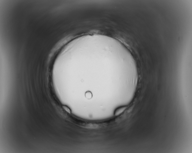 X0000086230149200704261903