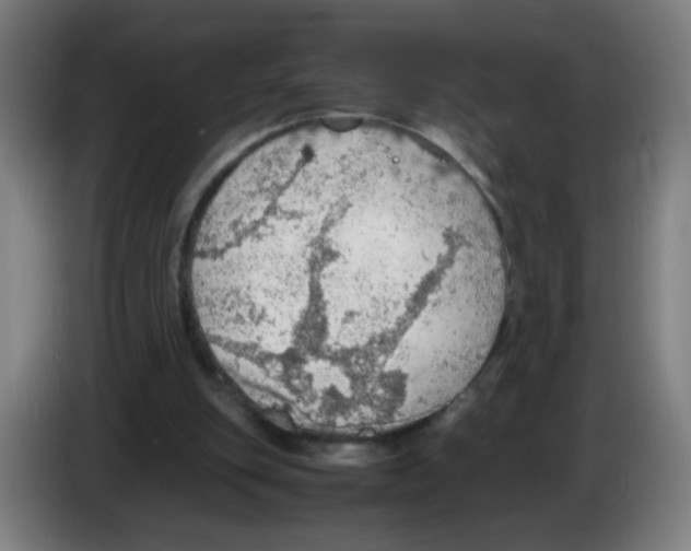 X0000086230151200704261903