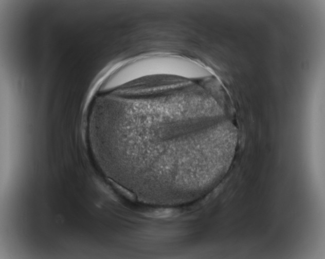 X0000086230152200704261903