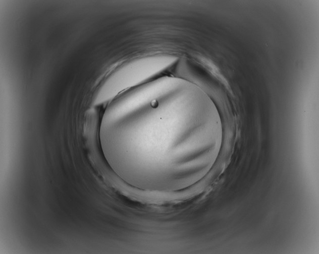 X0000086230154200704261903