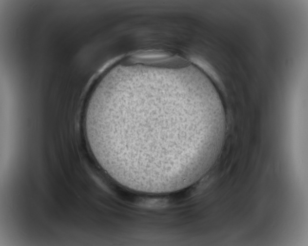 X0000086230155200704261903