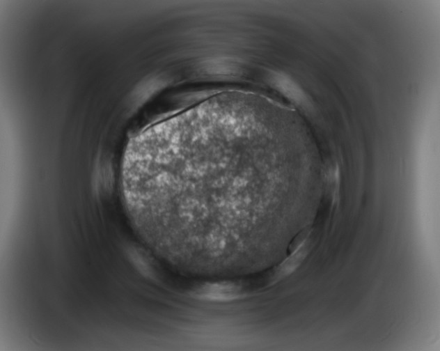 X0000086230158200704261903