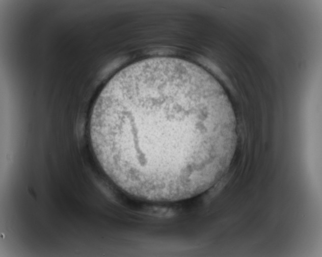 X0000086230159200704261903