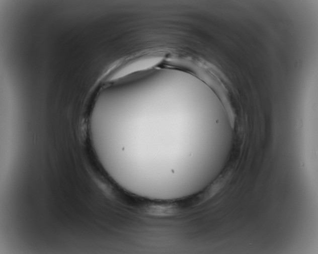 X0000086230160200704261903