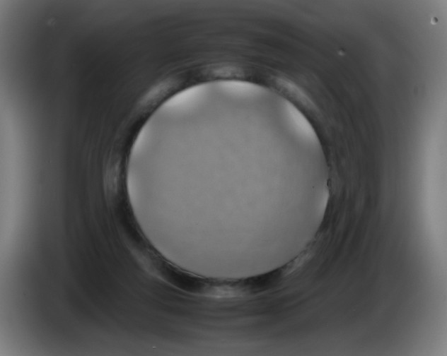 X0000086230163200704261903