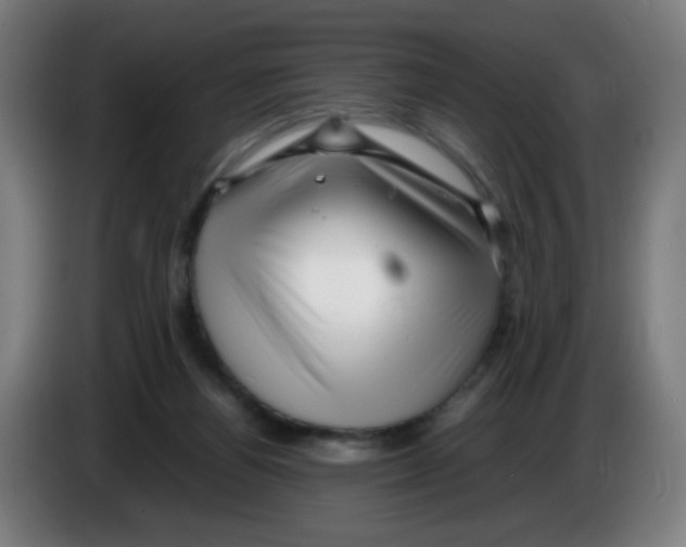 X0000086230164200704261903