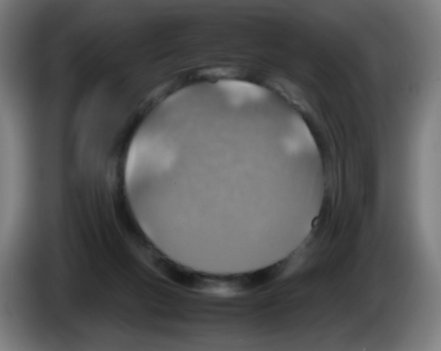 X0000086230167200704261903