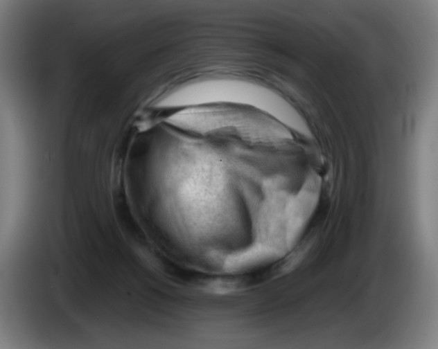 X0000086230168200704261903