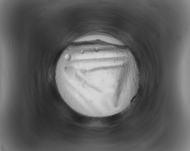 X0000086230175200704261903