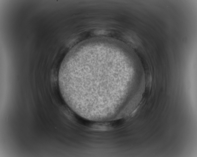 X0000086230179200704261903