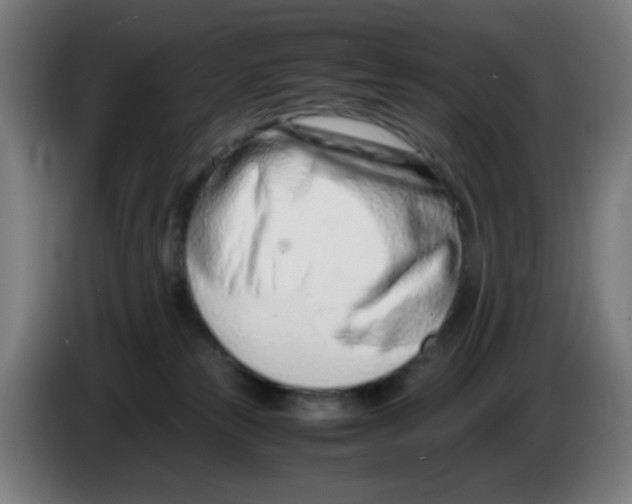 X0000086230181200704261903