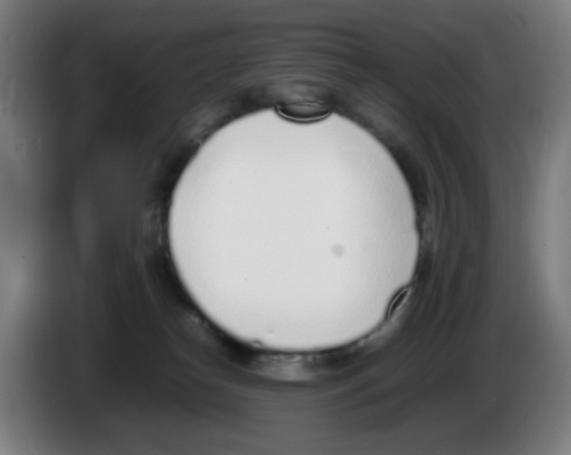 X0000086230182200704261903